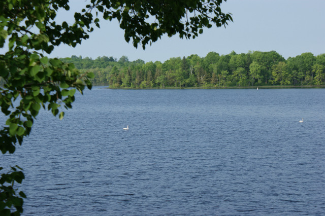 Live On The Lake in Long Term Rentals in Belleville - Image 3