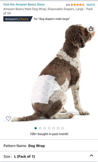 Male Dog Diaper / Wrap