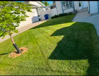 Lawn cut and trim. Starting at $35.
