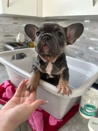 Sadie Is Our Last Girl Left…, View more