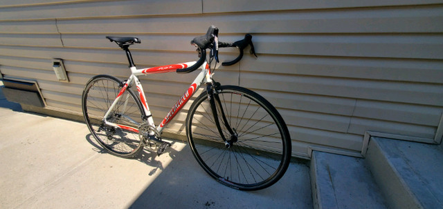 2002 Specialized Allez Sport in Road in Lethbridge - Image 2