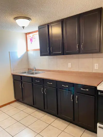 Spacious 2 Bedroom Basement Suite in Thorncliffe