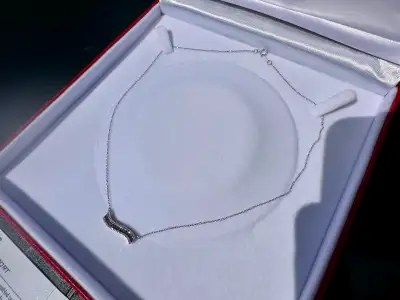 #789 - 1/4 Carat Diamond & 10k Necklace 17”, View more
