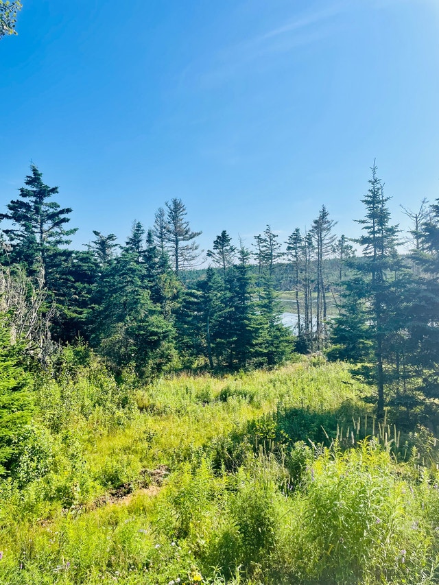 Furnished studio apartment Long Term Rentals Dartmouth Kijiji