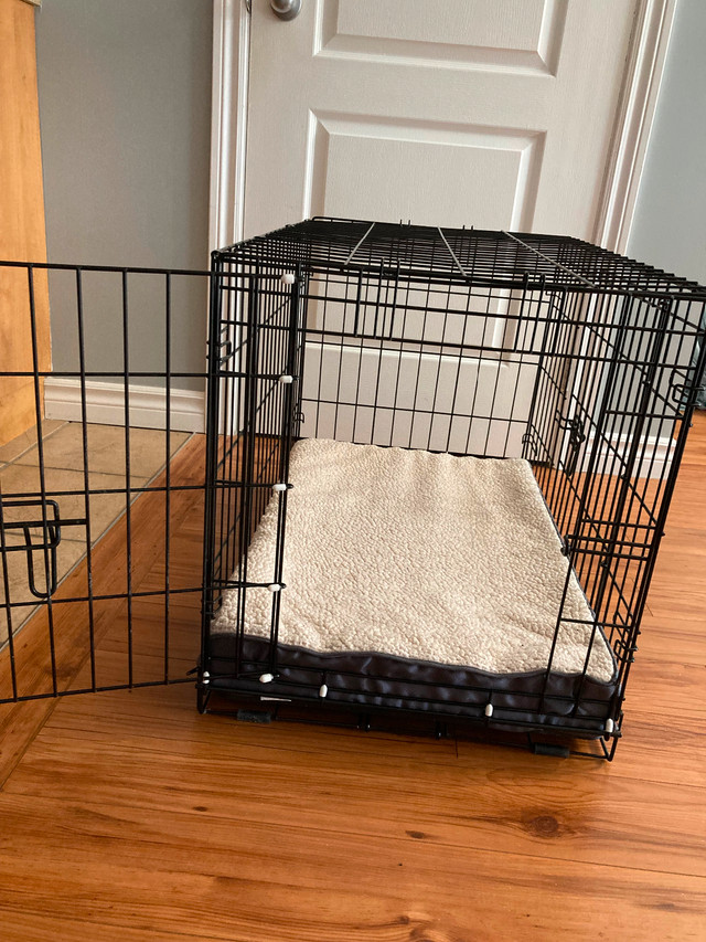 Cage pour chien dans Accessoires  à Trois-Rivières - Image 4