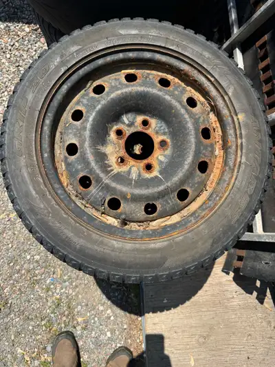 205/55R16 Winter Grip 20 Antares Used one season, in good shape. On steel rims from Nissan Sentra 15...