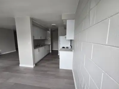 Newly Renovated 2 Bedroom Apartment in Belleville!