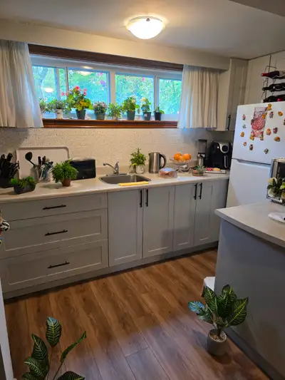 Basement amoblado for rent!
