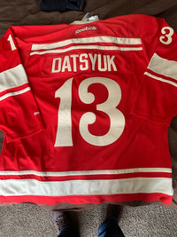 Signed Pavel Datsyuk Jersey