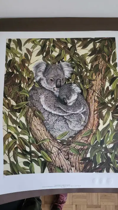 Limited Edition Print, View more