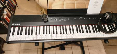 Alesis Recital portable keyboard - $350 (Orleans), View more