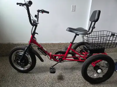 LIBERTY E TRIKE 16" - LIKE NEW, View more
