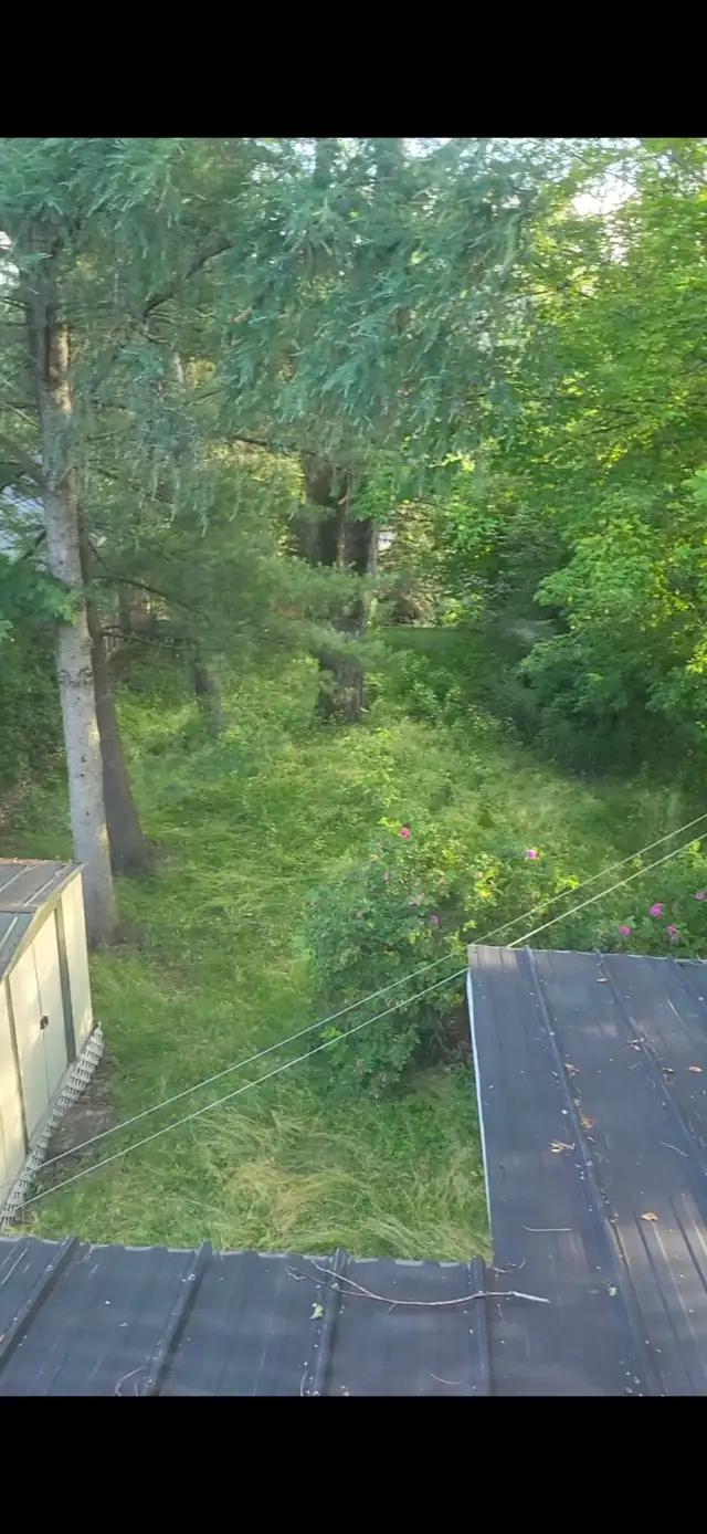 Maison 3 chambres à LOUER à Saint-Joseph-de-Beauce in Long Term Rentals in St-Georges-de-Beauce - Image 10