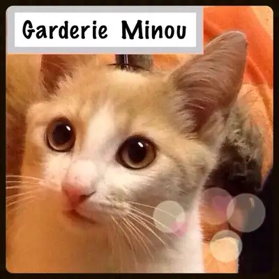 Nous gardons votre animal de compagnie à notre domicile pendant votre absence. Il aura une salle de...
