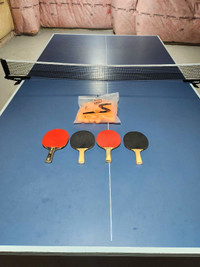Stiga Advantage Indoor Table Tennis table.
