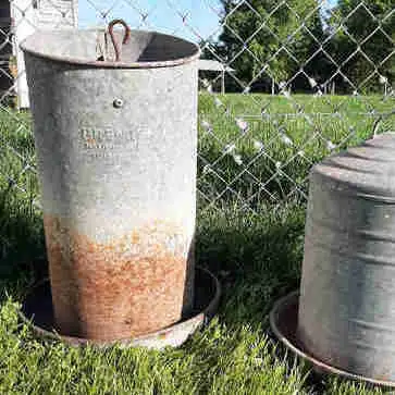 Chicken feeder ( waterer sold) large capacity. Excellent condition. Please call or text 9053517892