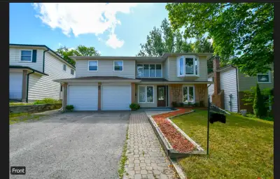 Sunny and spacious 3-bedroom main unit in a quiet, family-friendly Liftlock/Ashburnham neighbourhood...