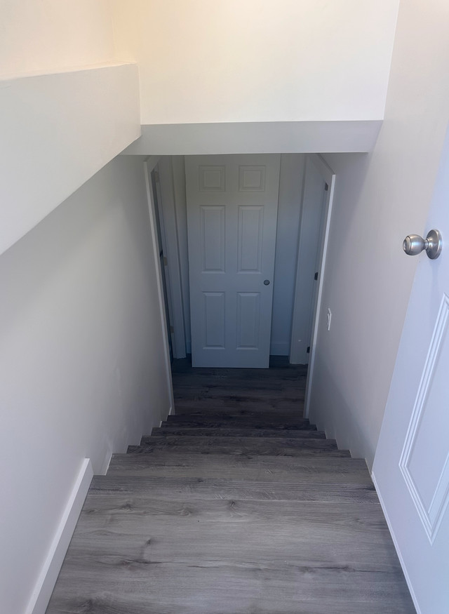 Basement Apartment Available Now! in Long Term Rentals in Moncton - Image 2