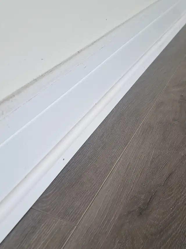 Need new floor? Call or Text Us Now!62864741520258124