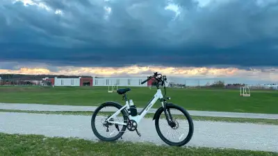 Dolphin Electric Bikes 500W 48Km - New, View more