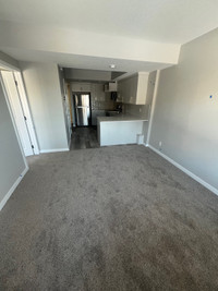2 rooms for rent in brand new basement 