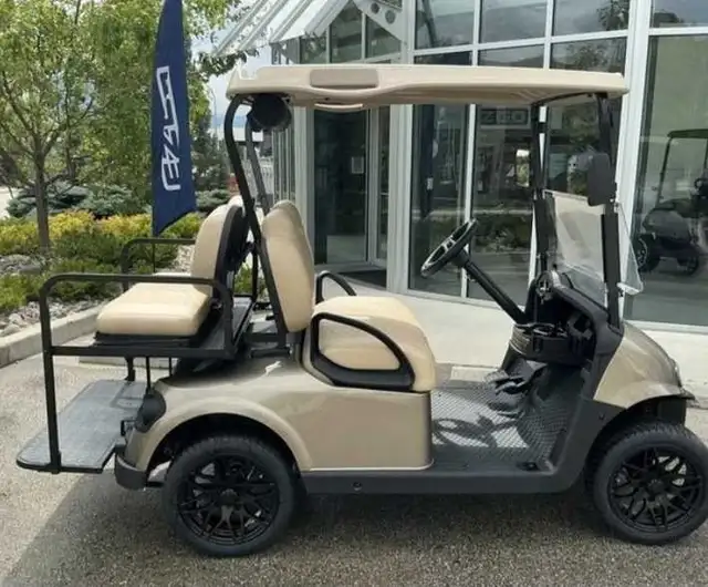 Golf Cart 4 seater lithium ezgo rxv  in Golf in Prince George - Image 3