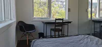 Three stories town house dog friendly on Third Floor. Shared washroom, kitchen and living room with...