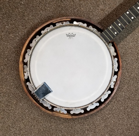 Banjo - decorative in String in Hamilton - Image 2