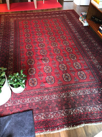 Afghan Bokhara rug.  Pakistan.  Wool