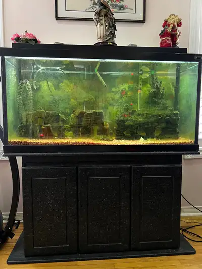 Aquarium 90 gallon
