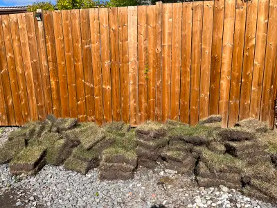 Free freshly removed patches of sod. Around 1’x2’ pieces with some larger and smaller. Ideal for pat...