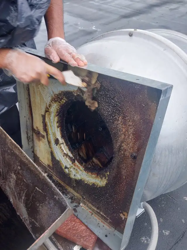 $350 Certified Kitchen Exhaust hood cleaning63234859652865123