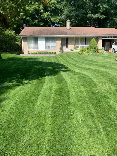 Lawn mowing, yard clean up, sodding, landscaping, small demo’s and more INSTGRAM: dosesofease Call o...