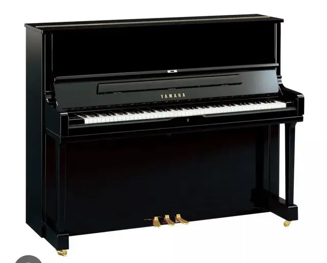 Piano Lessons by Volunteers