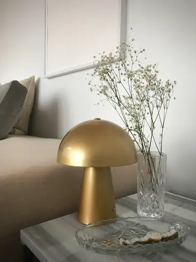 Cute gold mushroom lamp. LED with charger, type C charger included. Light, portable, a beautiful add...