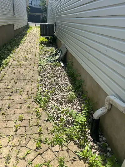 Weeds removal and landscaping, View more