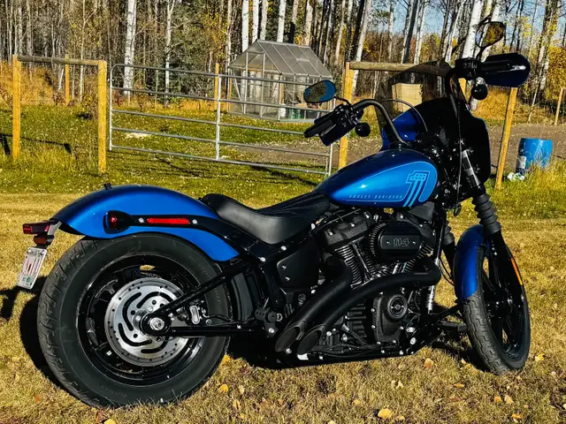 2024 Harley Davidson Street Bob in Street, Cruisers & Choppers in Red Deer - Image 5