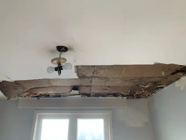 Popcorn Repair, Patch Holes, Drywall Repair, Water Damage in Drywall & Stucco Removal in Oakville / Halton Region - Image 11