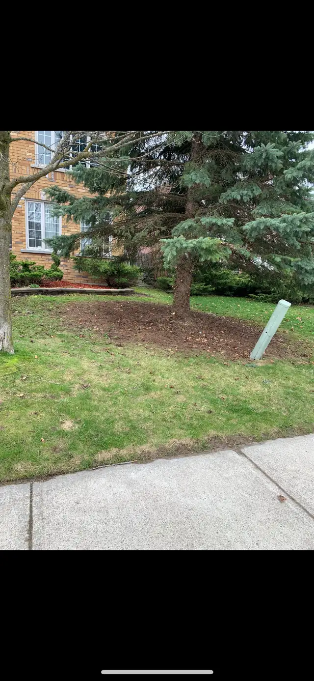Your Trusted Tree Trimming & Hedging Expert63735895625347123