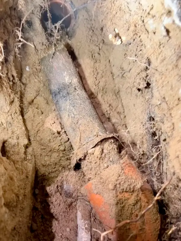 PLUMBING SERVICE, DRAIN REPAIR, DRAIN SNAKE 647-785-5500 in Plumbing in City of Toronto - Image 5