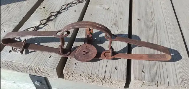 Vintage Victor Long Spring Coyote Traps.  Eight traps in total. in Fishing, Camping & Outdoors in Lloydminster - Image 5