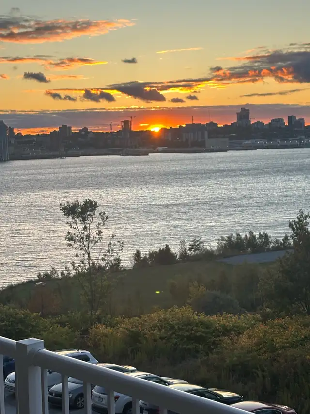 interior painter64026033233666120