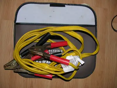 https://www.canadiantire.ca/en/pdp/motomaster-light-duty-booster-jumper-cables-8-gauge-10-ft-0111212...