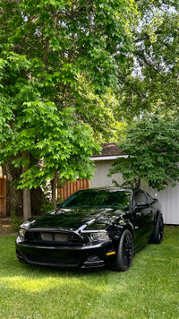 2013 Mustang Gt