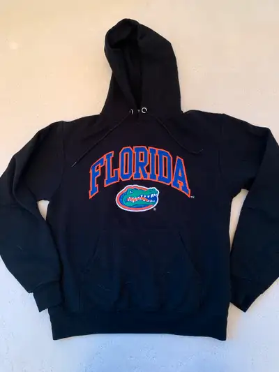 Champion Florida hoodie, View more