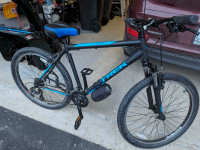 Hybrid Trek Bike