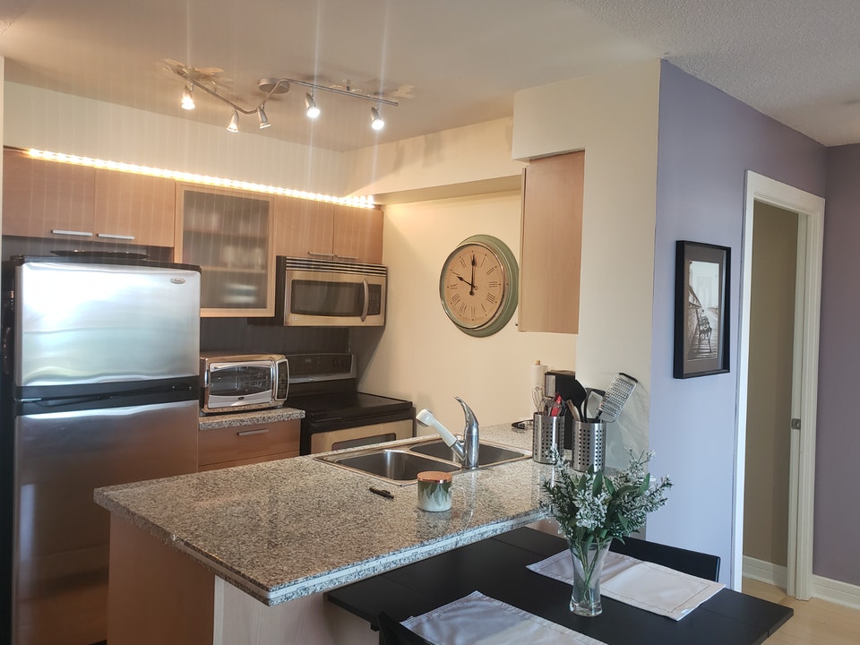 Furnished luxury 2-bedroom Condo 3