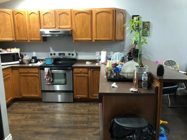 Beautiful Home for rent Leamington in Long Term Rentals in Leamington - Image 5