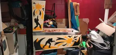 I have a partially restored 1976 Target Alpha pinball machine in excellent condition. The score reel...