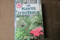 LES PLANTE D'INTÉRIEUR